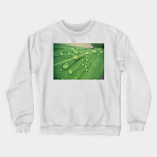 Green leaf covered by drops of water Crewneck Sweatshirt